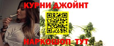 молекула духа Будённовск